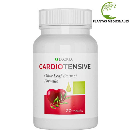 Cardiotensive