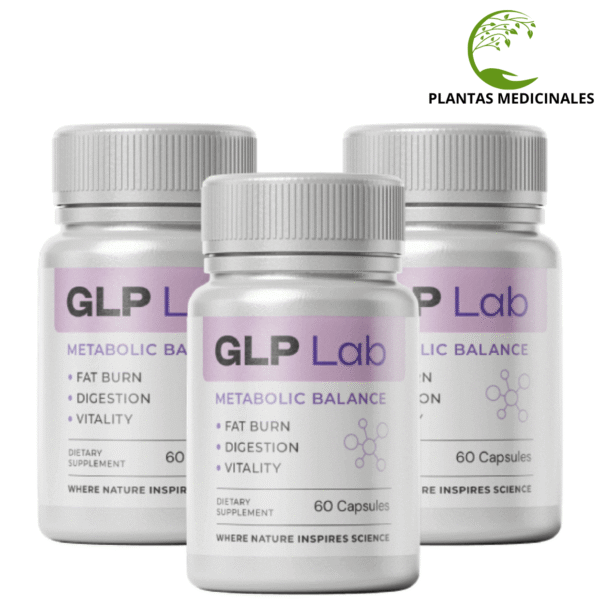 GLP Lab