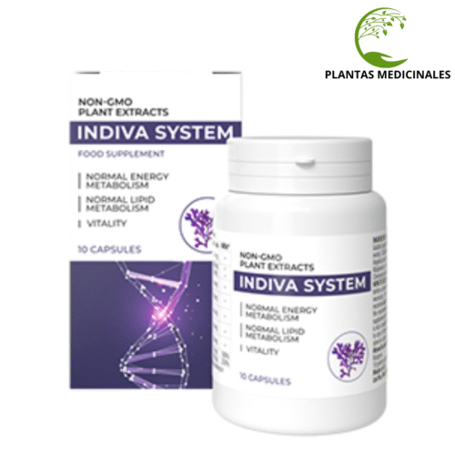 INDIVA SYSTEM