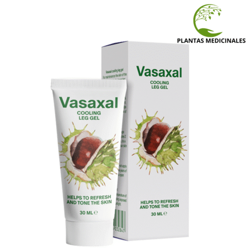 Vasaxal