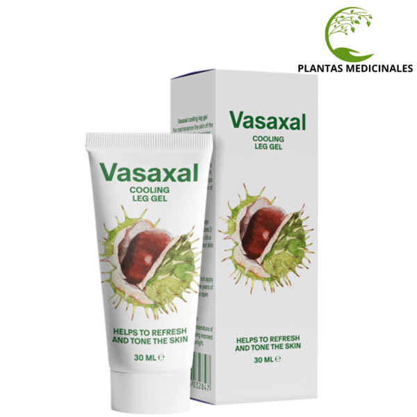 Vasaxal