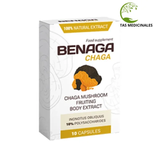 Benaga Chaga