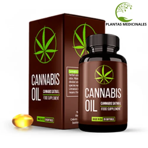 Cannabis Oil Cannabis Oil
