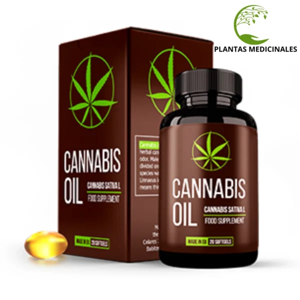 Cannabis Oil