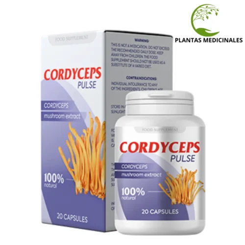 Cardyceps Pulse